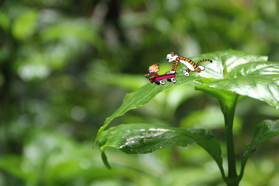 Creativity with Photography and&nbsp;Photoshop